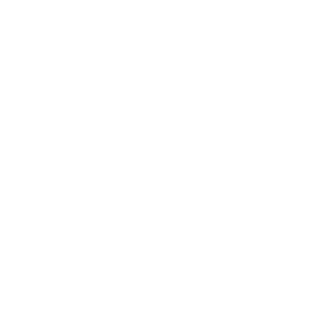logo_virtus_weiss_300dpi